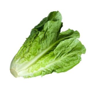 Lettuce romaine - Image 1