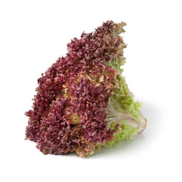 lettuce 3