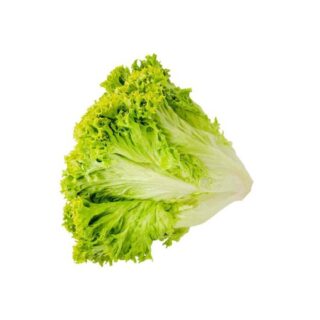 Lettuce lollo bionda - Image 1