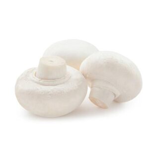 Mushroom white - Image 1