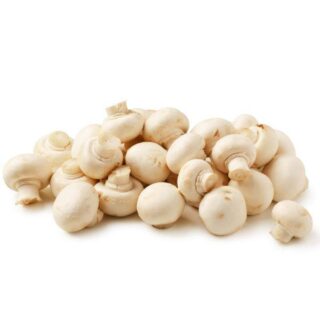 Mushroom white small - Image 1