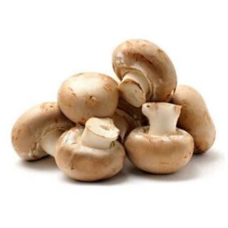 Mushroom brown - Image 1
