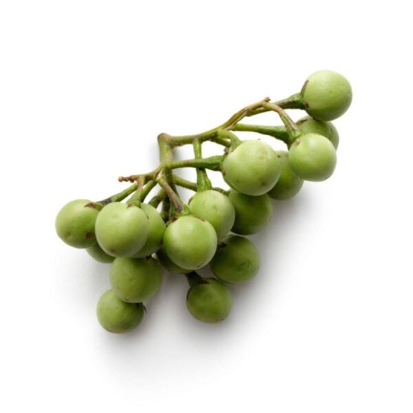 pea eggplant