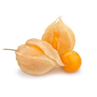 Physalis - Image 1