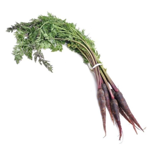 purple carrot