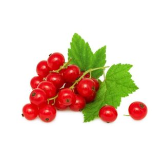 Red Currant - Image 1