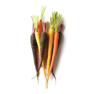 Baby Rainbow Carrots - Image 1