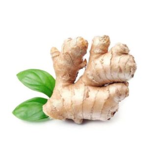 Ginger - Image 1