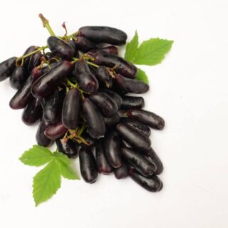 Grape Black Lady Finger - Image 1
