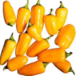 Mini Yellow Capsicum - Image 1