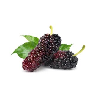 Mulberry - Image 1