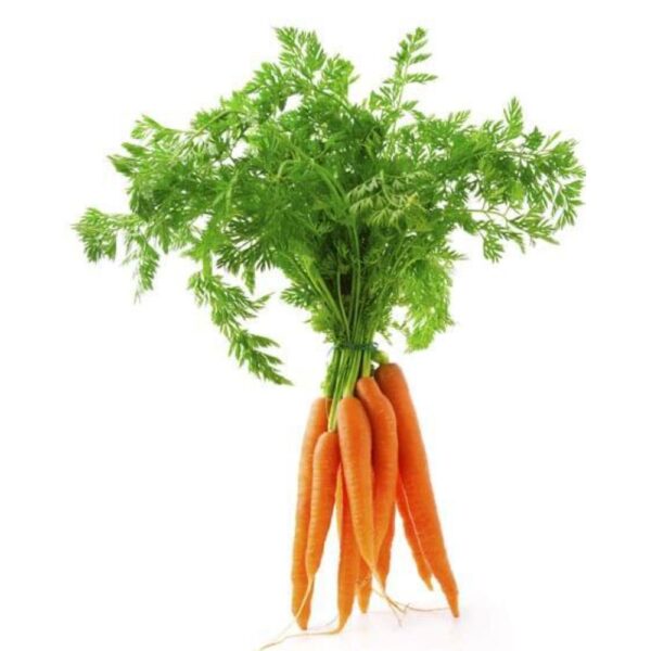 spring red carrot