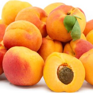 Natural Sweet Apricot "Cotton" - Image 1