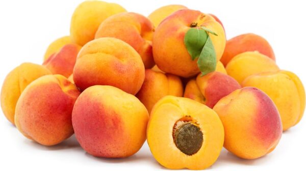 apricot cotton