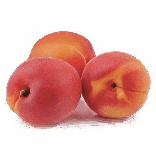 Natural Sweet Apricot "Yubilenni" - Image 1