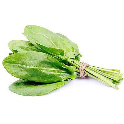 sorrel