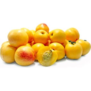 Yellow Nectarine - Image 1