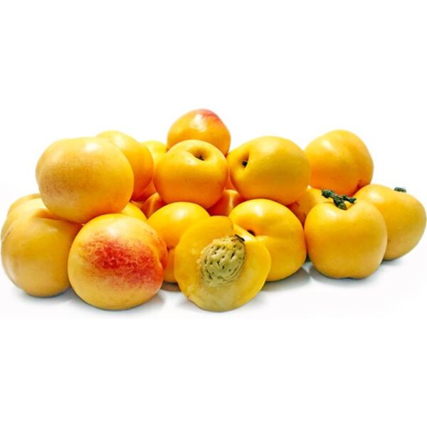 yellow nectarine